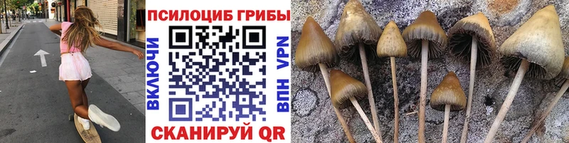 Псилоцибиновые грибы MAGIC MUSHROOMS  ОМГ ОМГ ссылки  Тавда  как найти закладки 